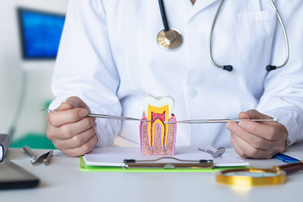 Best Emergency Dental Care for Abscessed Tooth in Tashua, CT